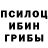 Галлюциногенные грибы Magic Shrooms Mach68