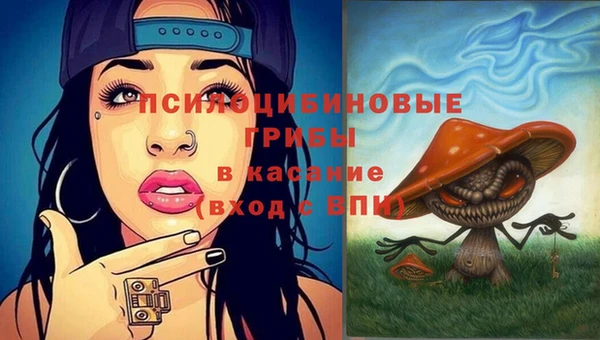 стафф Няндома