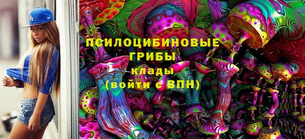 стафф Няндома