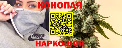 каннабис Ачхой-Мартан