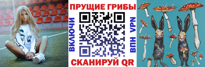 ОМГ ОМГ рабочий сайт  Моршанск  Галлюциногенные грибы мицелий 
