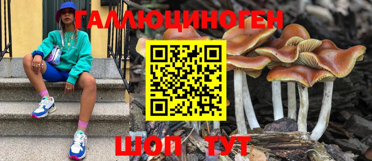 Моршанск  Псилоцибиновые грибы ЛСД  Вход с VPN 