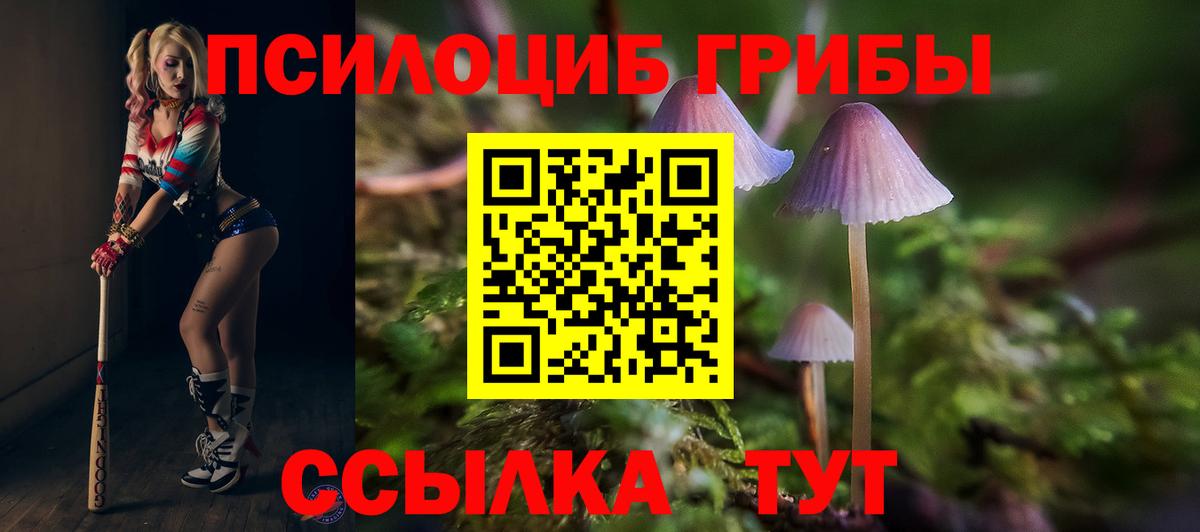 Псилоцибиновые грибы мухоморы Моршанск